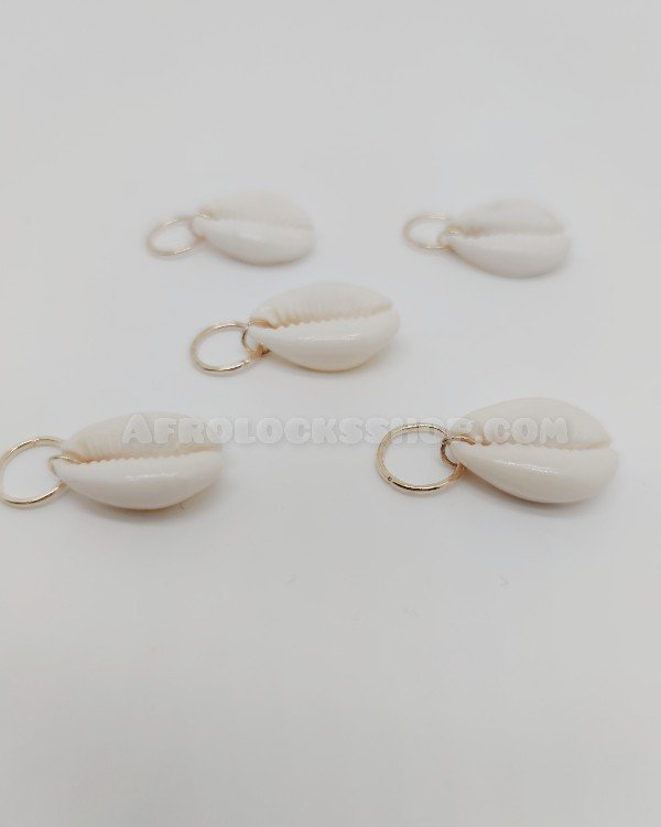 Lot de 5 gros cauris bijoux à cheveux
