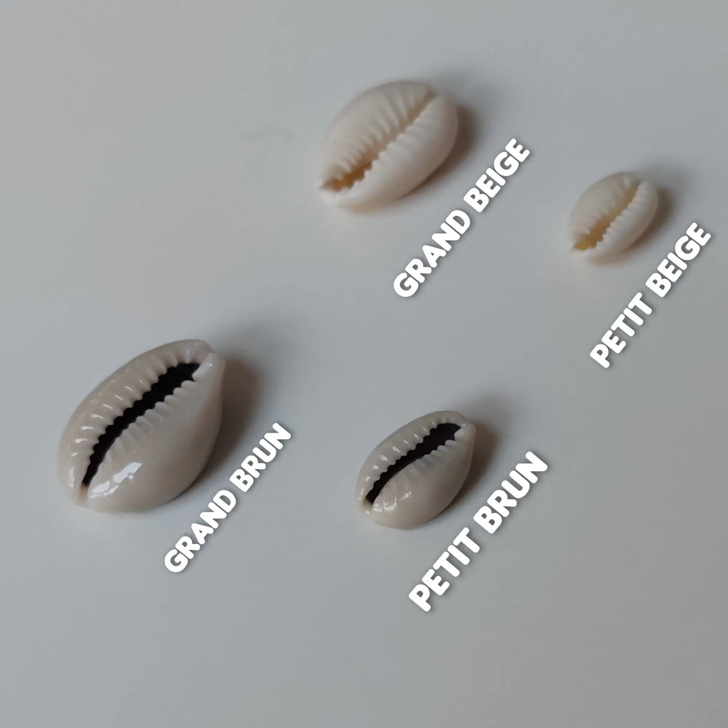 Cauris commande à l'unité - coquillages naturels beige blanc brun-SQ4854282