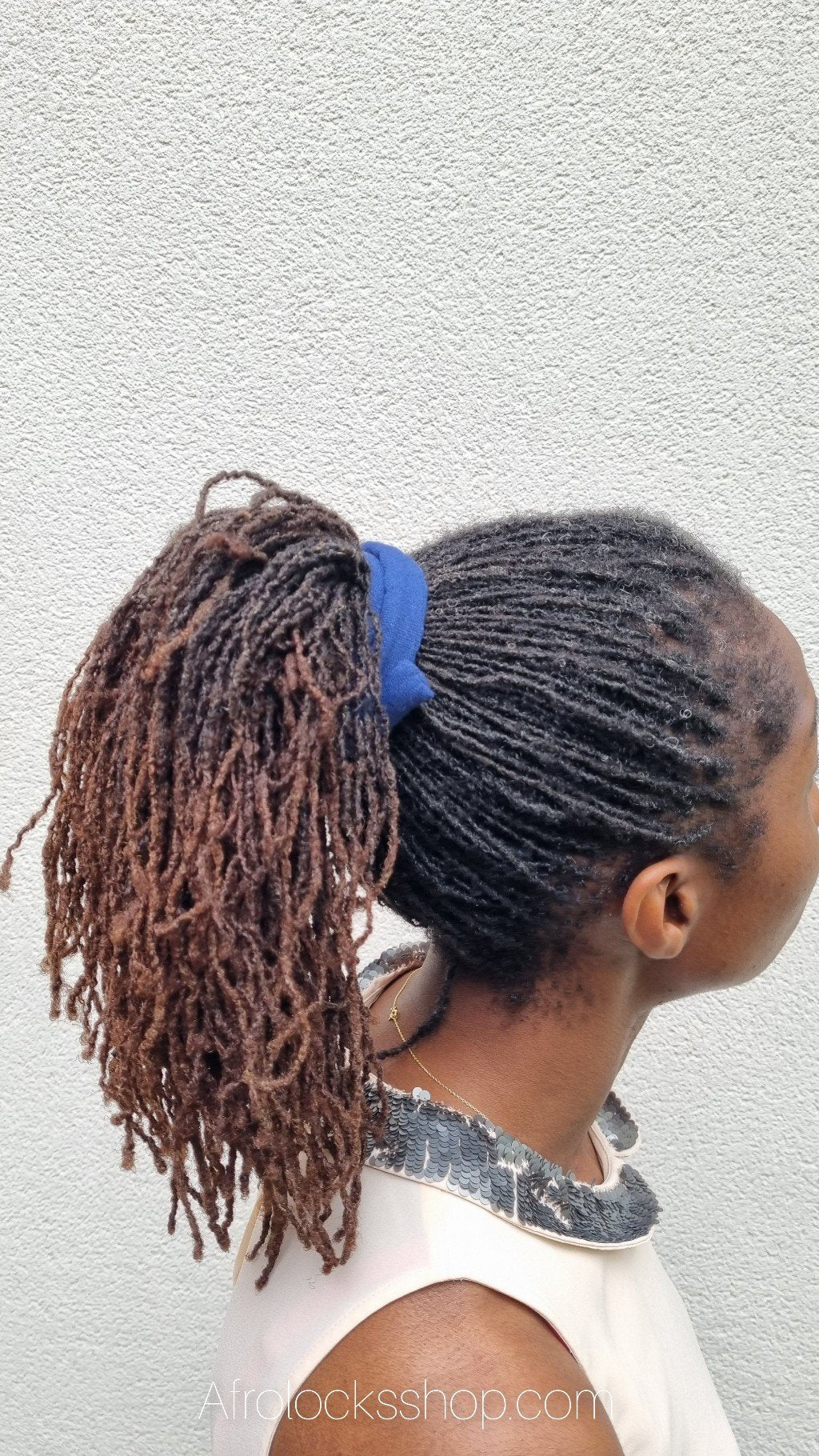 Attache spirale avec fil de fer pour coiffure haute-SQ3807066