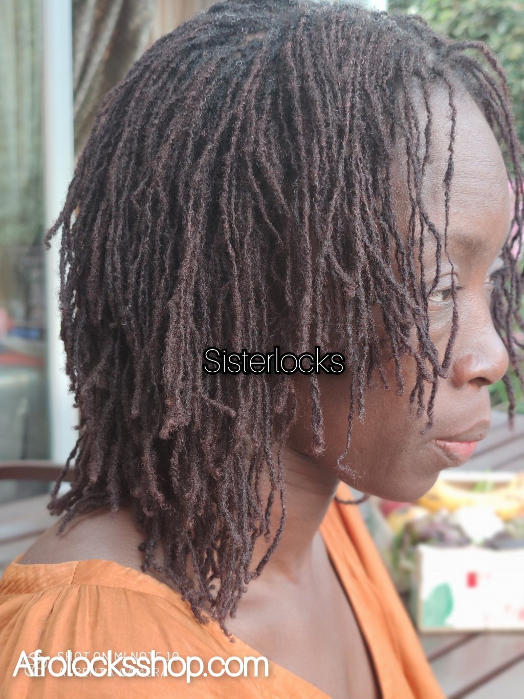 Quelle est la différence entre microlocks et sisterlocks ?