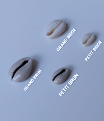 Comment lire les cauris ?