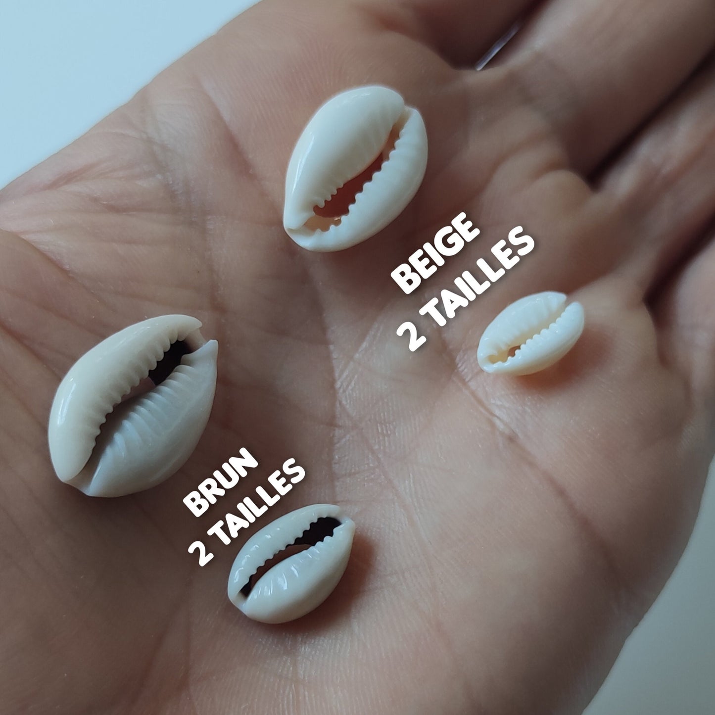 Cauris commande à l'unité - coquillages naturels beige blanc brun-SQ4854282