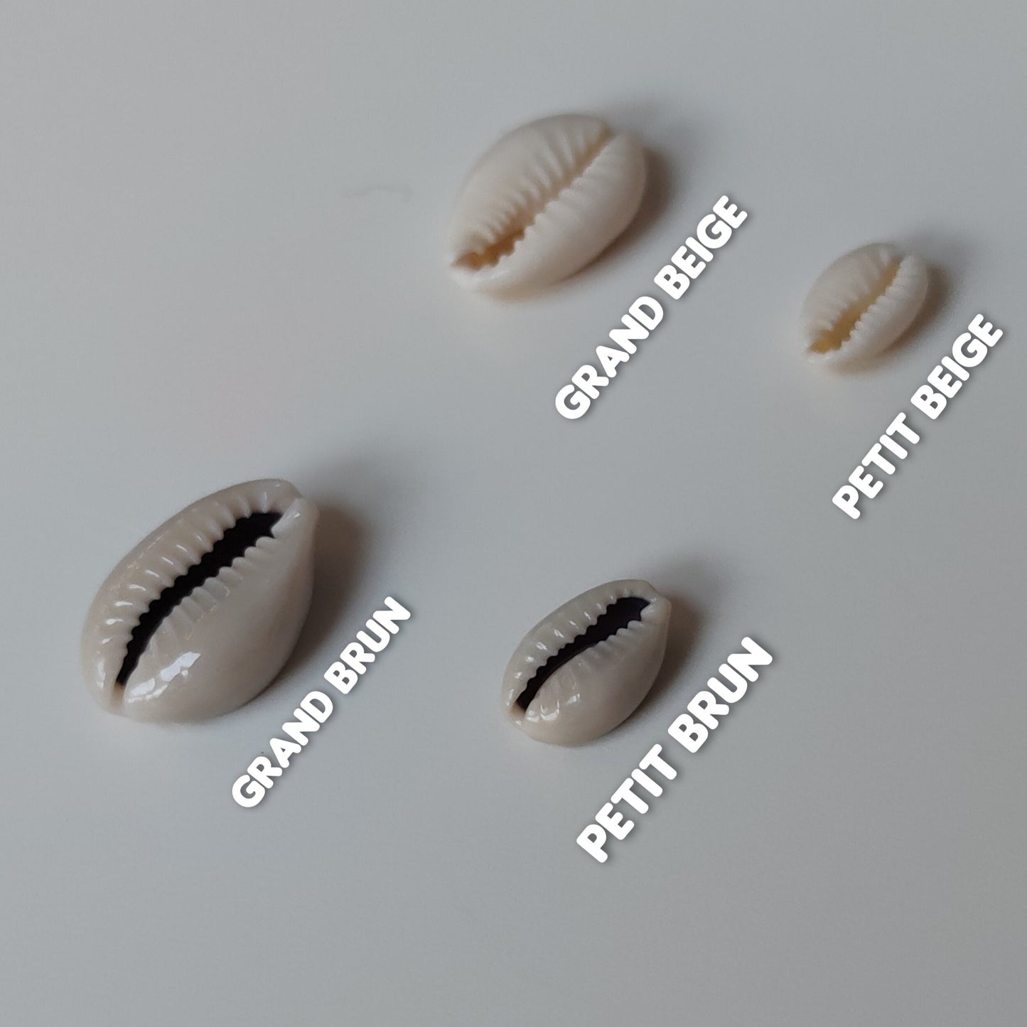 Cauris commande à l'unité - coquillages naturels beige blanc brun-SQ4854282