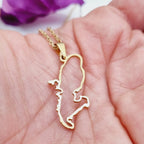 Collier_carte_Martinique_acier_inoxydable_316L_dor_cha_ne_50_cm_2 - Afro Locks Shop