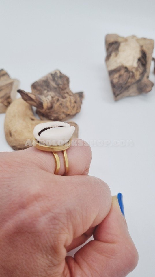 Bague acier inoxydable 316 L ornée d'un gros cauri naturel