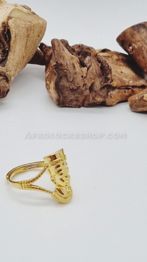 Bijou africain egypte bague acier inoxydable avec effigie de Nefertiti