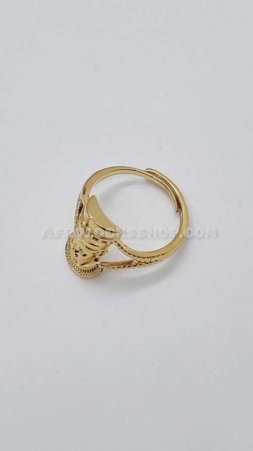 Bijou africain egypte bague acier inoxydable avec effigie de Nefertiti