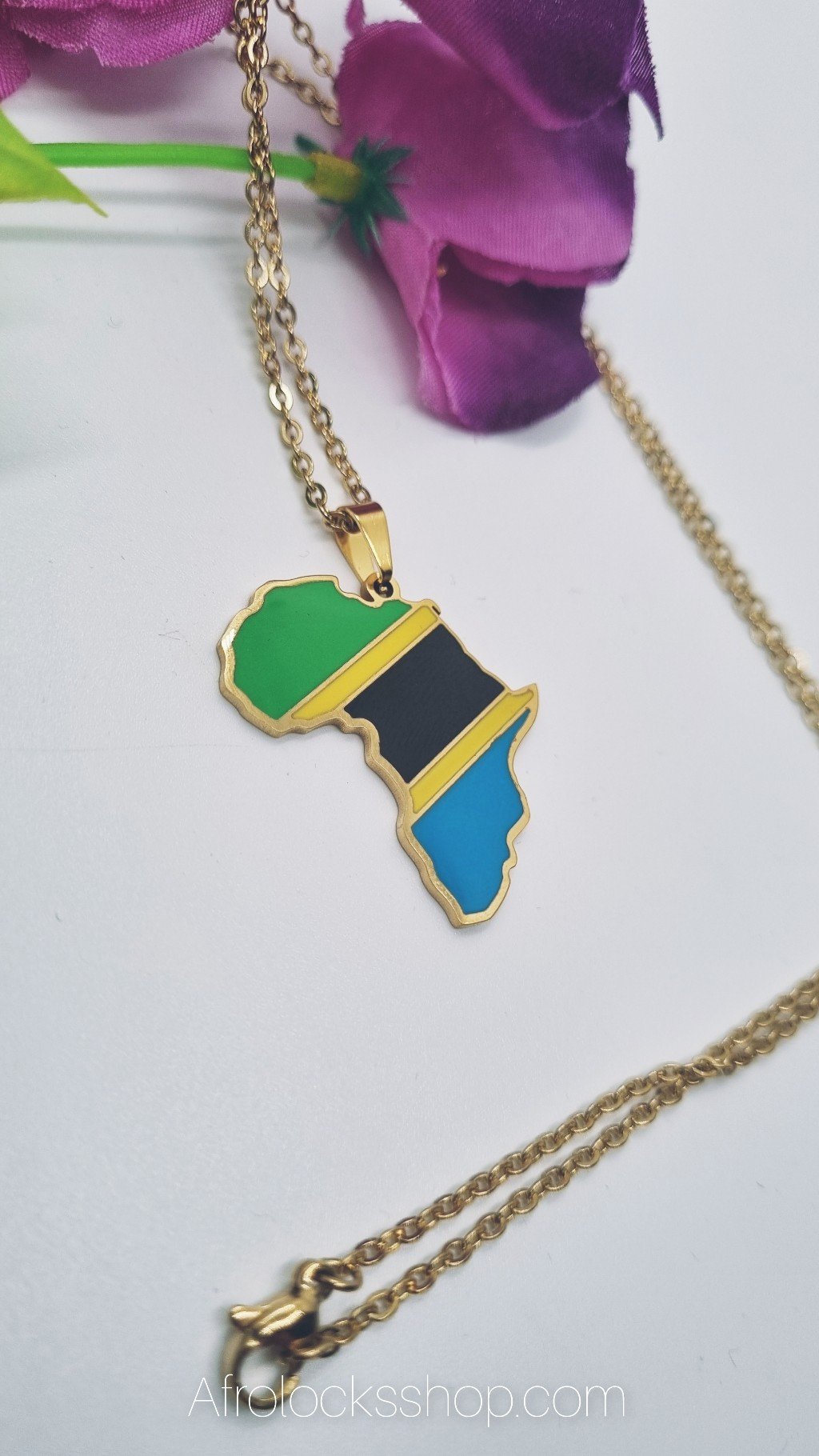 Chaîne Afrique Tanzanie