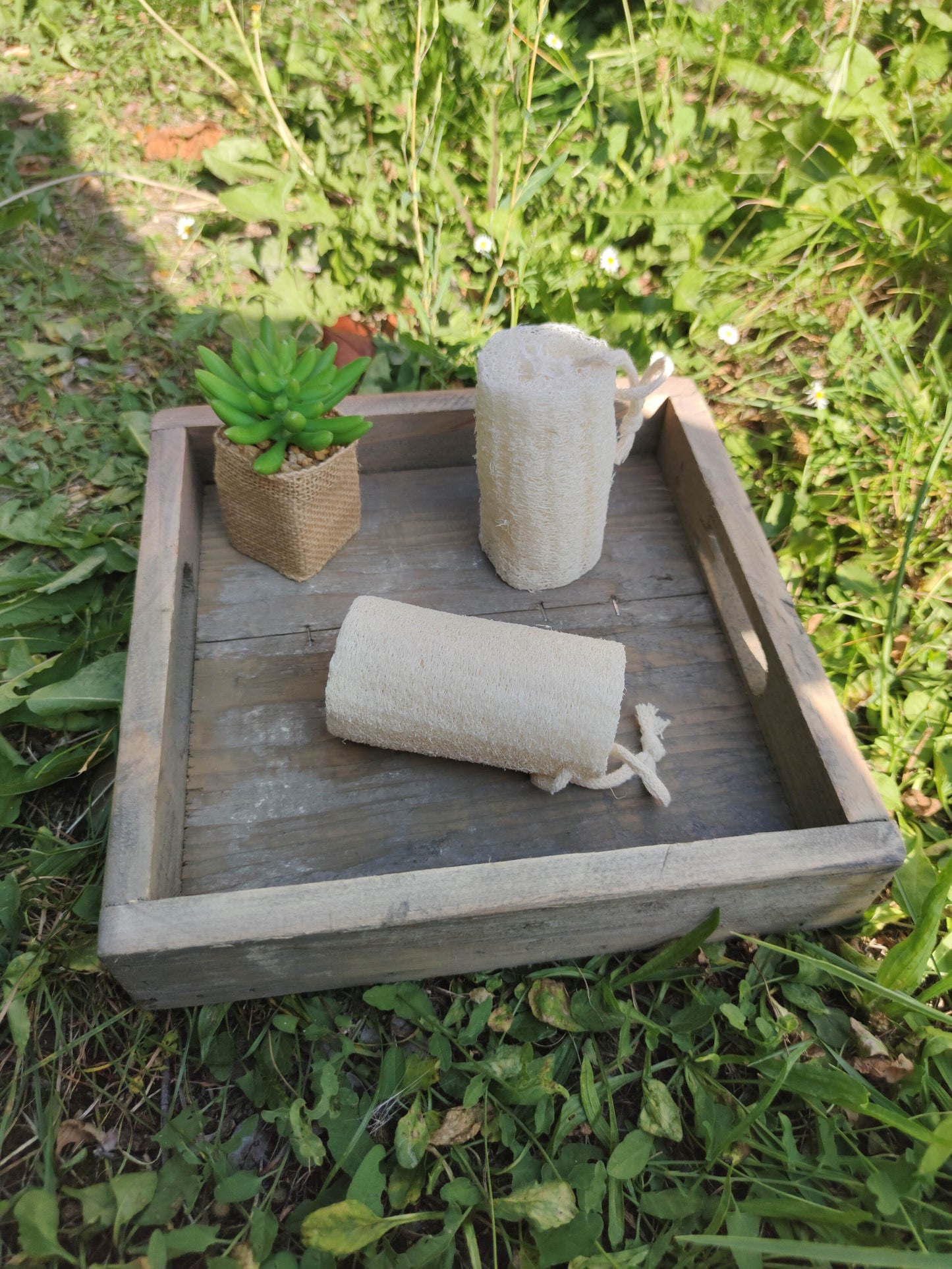 Eponge végétale loofah - gommage naturel biologique pour exfolier affiner