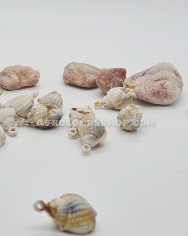 Lot de coquillages synthétiques pour décoration cheveux / créations