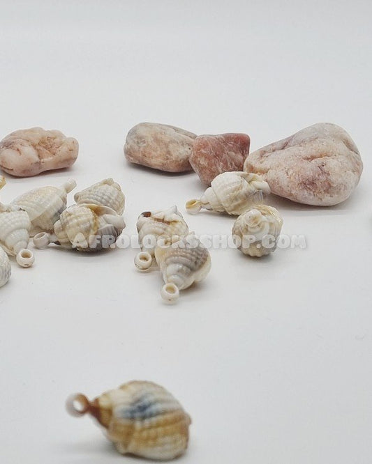 Lot de coquillages synthétiques pour décoration cheveux / créations